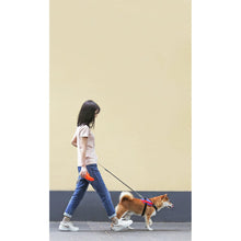 Load image into Gallery viewer, Instachew Rover Pet Travel Bottle, Dog water bottle